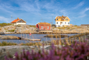 Read more about the article Sillsalat: En uimotståelig norsk tradisjon