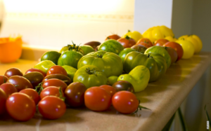 Read more about the article Svinestek med frukt – en traditionel smagsoplevelse